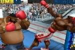 Ready 2 Rumble Revolution (Wii)