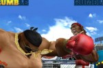 Ready 2 Rumble Revolution (Wii)