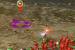 New Play Control! Pikmin (Wii)