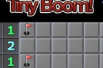 Tiny Boom! (iPhone/iPod)