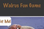 Walrus Fun Game (iPhone/iPod)