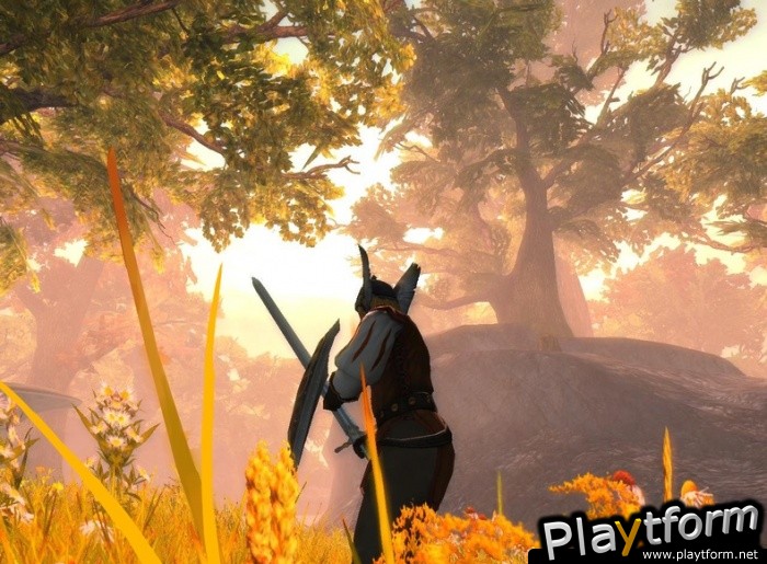 The Dark Eye: Drakensang (PC)