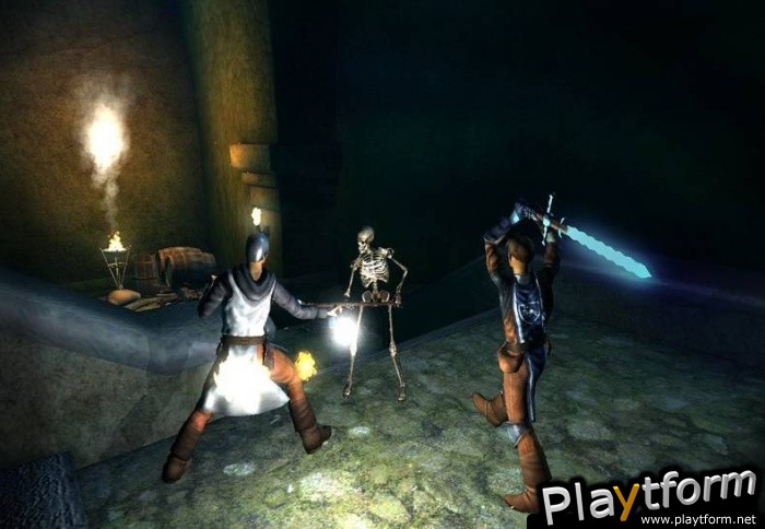 The Dark Eye: Drakensang (PC)