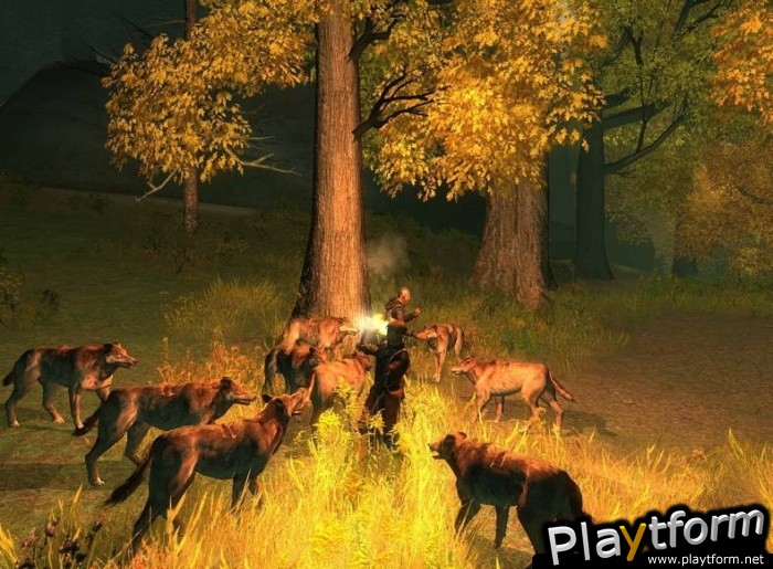 The Dark Eye: Drakensang (PC)