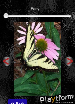 TilePics (iPhone/iPod)