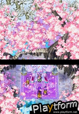 Dragon Quest V: Hand of the Heavenly Bride (DS)