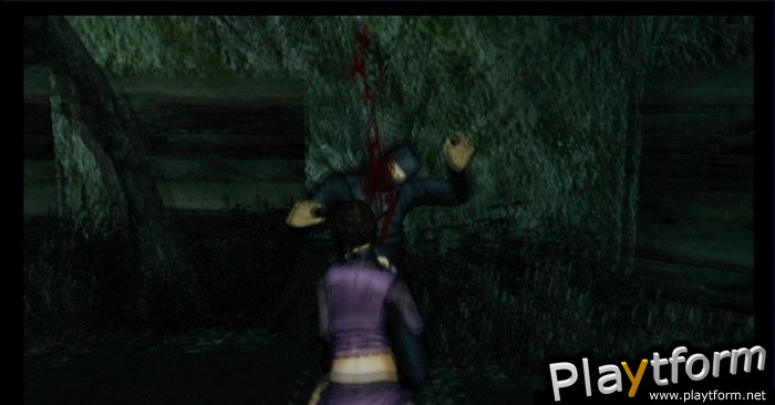 Tenchu: Shadow Assassins (Wii)