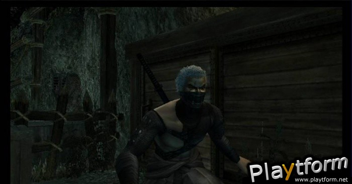 Tenchu: Shadow Assassins (Wii)