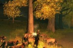 The Dark Eye: Drakensang (PC)