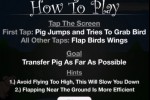 PigsFly (iPhone/iPod)