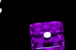 Purple Dice (iPhone/iPod)