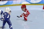 3 on 3 NHL Arcade (Xbox 360)