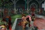 Onechanbara: Bikini Zombie Slayers (Wii)