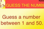 Guess the Number (iPhone/iPod)