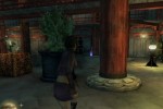 Tenchu: Shadow Assassins (Wii)