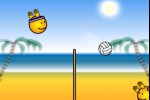 Beach Volleyball Dude (iPhone/iPod)