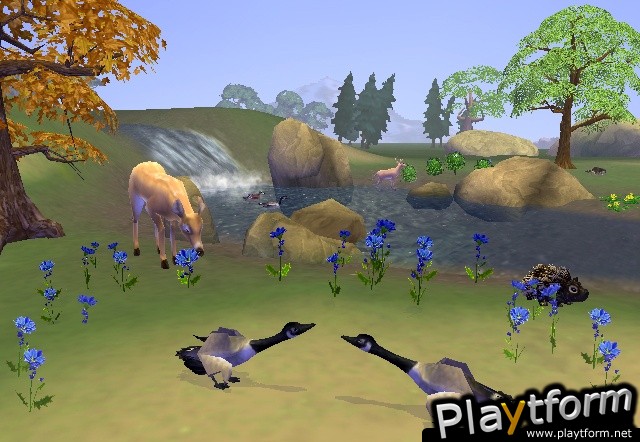 SimAnimals (Wii)