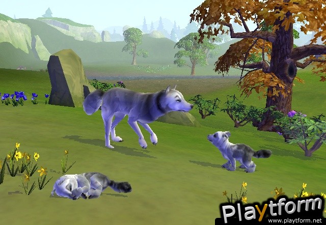 SimAnimals (Wii)