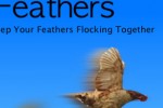 iFeathers (iPhone/iPod)