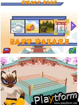 Animal Boxing (DS)