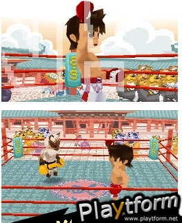 Animal Boxing (DS)