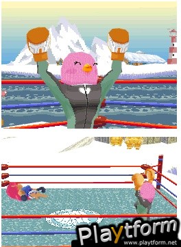 Animal Boxing (DS)