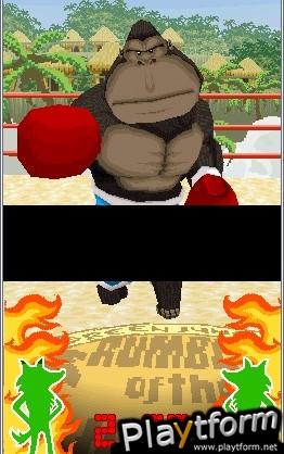 Animal Boxing (DS)