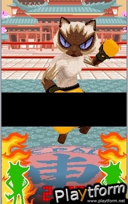 Animal Boxing (DS)