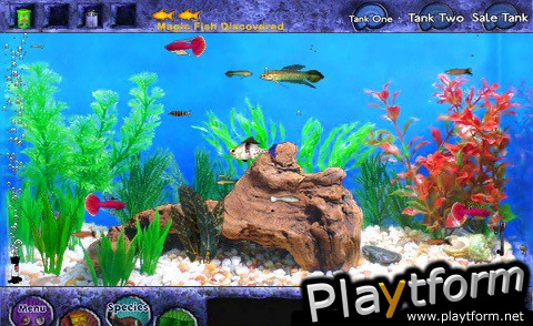 Fish Tycoon (iPhone/iPod)