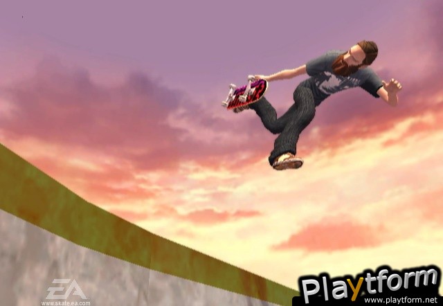 Skate It (Wii)