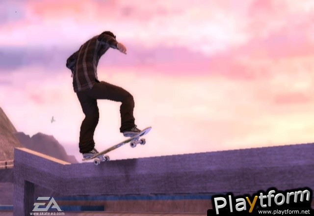 Skate It (Wii)