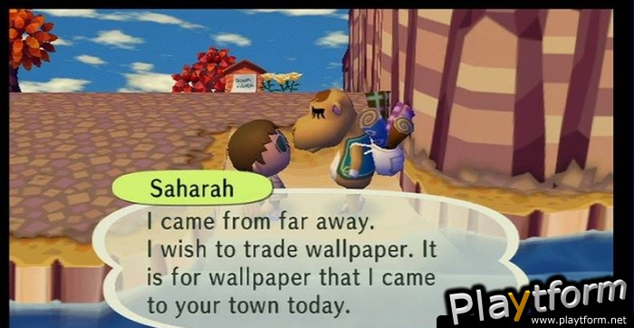 Animal Crossing: City Folk (Wii)