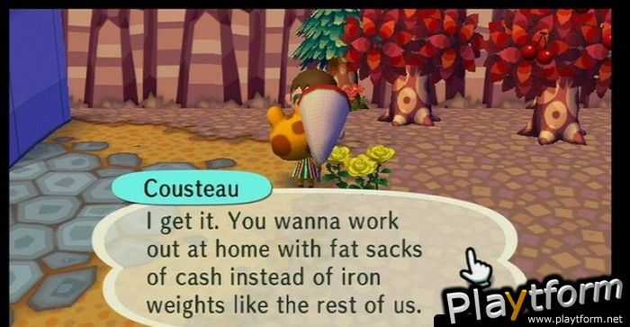 Animal Crossing: City Folk (Wii)