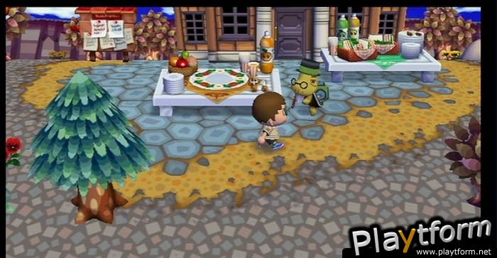 Animal Crossing: City Folk (Wii)