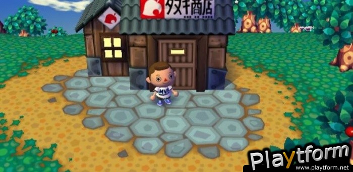 Animal Crossing: City Folk (Wii)