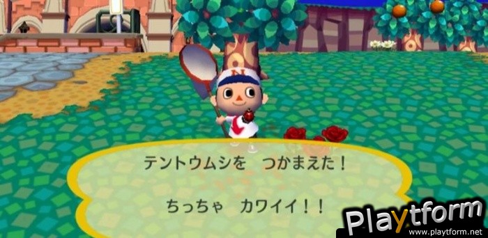 Animal Crossing: City Folk (Wii)