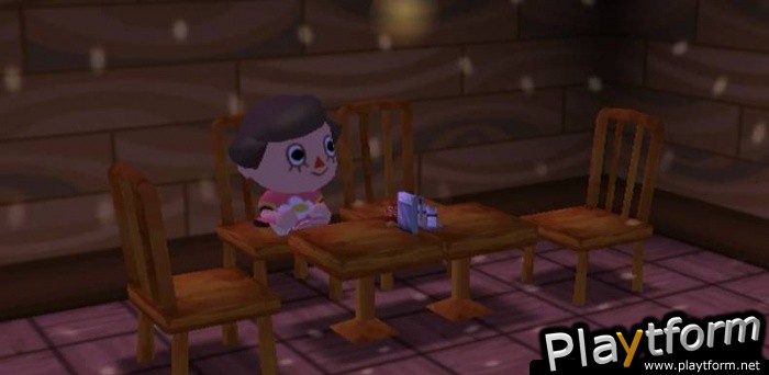 Animal Crossing: City Folk (Wii)