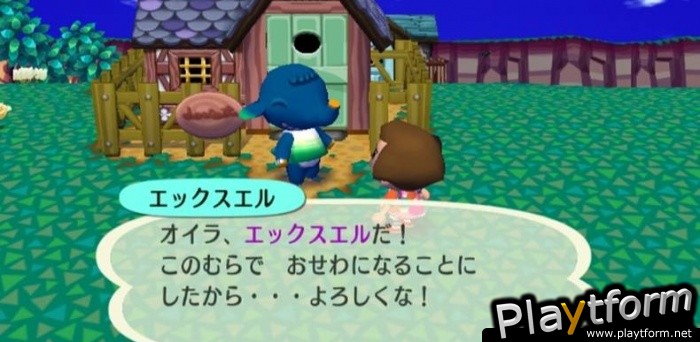 Animal Crossing: City Folk (Wii)