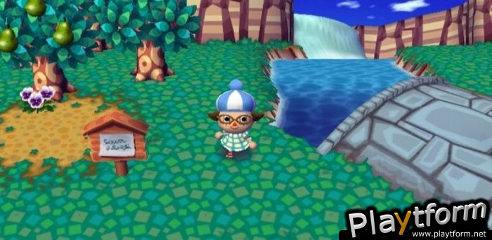 Animal Crossing: City Folk (Wii)