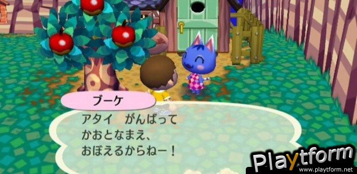 Animal Crossing: City Folk (Wii)