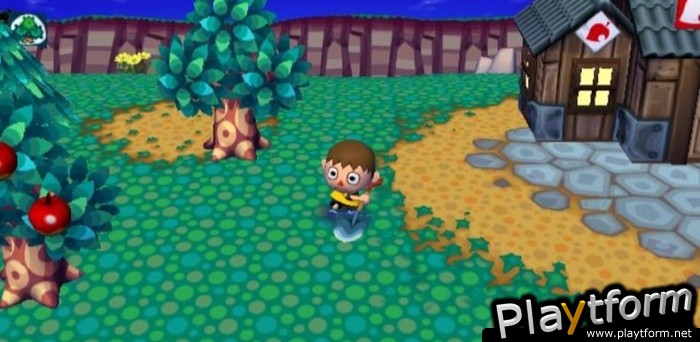 Animal Crossing: City Folk (Wii)