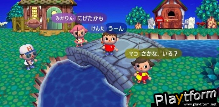 Animal Crossing: City Folk (Wii)