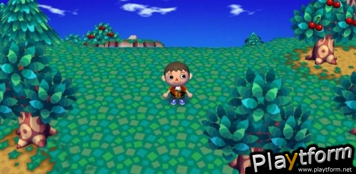 Animal Crossing: City Folk (Wii)