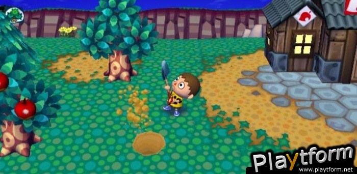 Animal Crossing: City Folk (Wii)