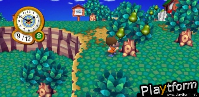 Animal Crossing: City Folk (Wii)