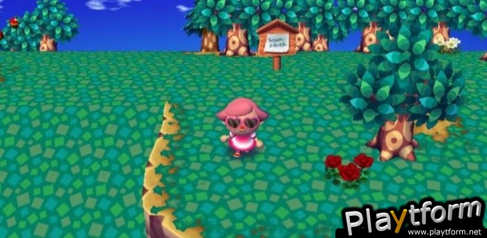 Animal Crossing: City Folk (Wii)