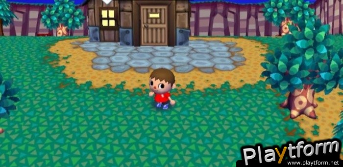 Animal Crossing: City Folk (Wii)