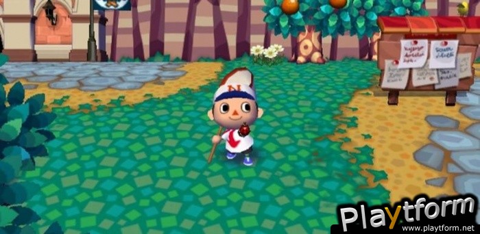 Animal Crossing: City Folk (Wii)