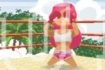 Animal Boxing (DS)