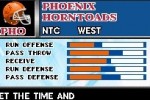 Tecmo Bowl: Kickoff (DS)